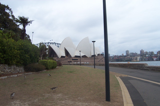 DCP_2265.JPG